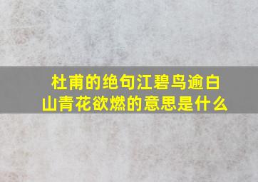 杜甫的绝句江碧鸟逾白山青花欲燃的意思是什么