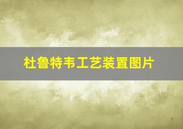 杜鲁特韦工艺装置图片