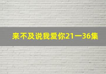 来不及说我爱你21一36集