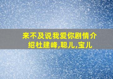 来不及说我爱你剧情介绍杜建峰,聪儿,宝儿