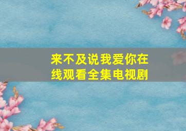 来不及说我爱你在线观看全集电视剧