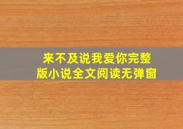 来不及说我爱你完整版小说全文阅读无弹窗