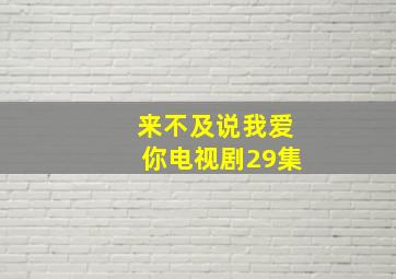 来不及说我爱你电视剧29集