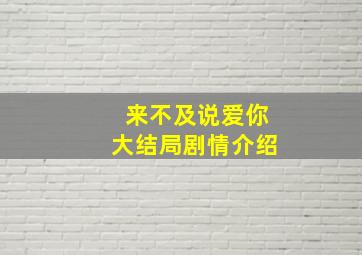 来不及说爱你大结局剧情介绍