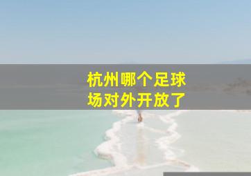 杭州哪个足球场对外开放了