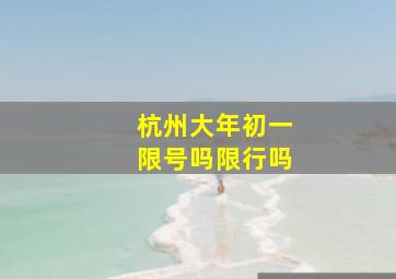 杭州大年初一限号吗限行吗