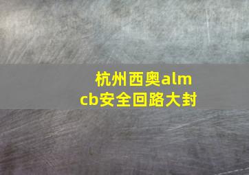 杭州西奥almcb安全回路大封