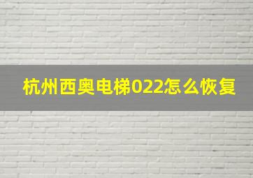 杭州西奥电梯022怎么恢复