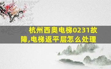 杭州西奥电梯0231故障,电梯返平层怎么处理