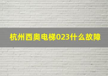 杭州西奥电梯023什么故障