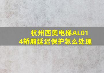 杭州西奥电梯AL014轿厢延迟保护怎么处理