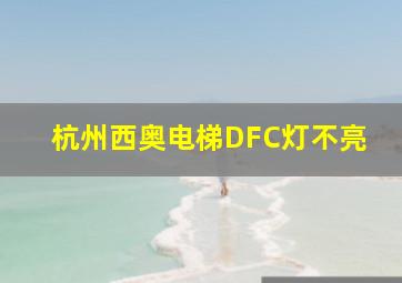 杭州西奥电梯DFC灯不亮