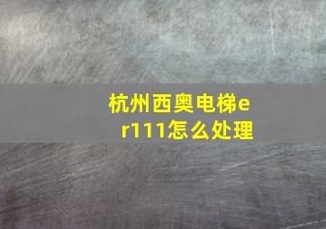 杭州西奥电梯er111怎么处理