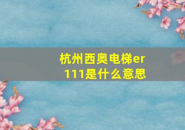 杭州西奥电梯er111是什么意思