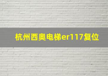 杭州西奥电梯er117复位