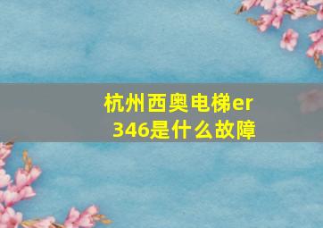 杭州西奥电梯er346是什么故障