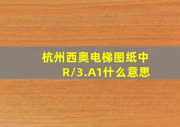 杭州西奥电梯图纸中R/3.A1什么意思