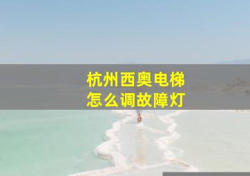 杭州西奥电梯怎么调故障灯