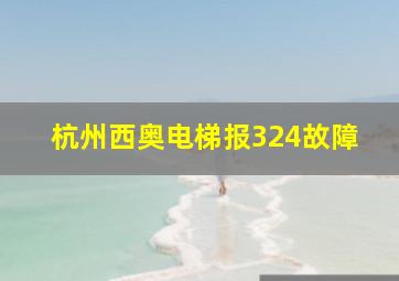 杭州西奥电梯报324故障