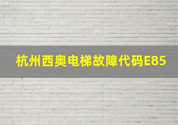 杭州西奥电梯故障代码E85