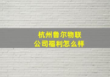 杭州鲁尔物联公司福利怎么样