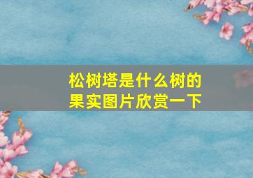 松树塔是什么树的果实图片欣赏一下