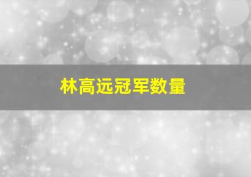 林高远冠军数量