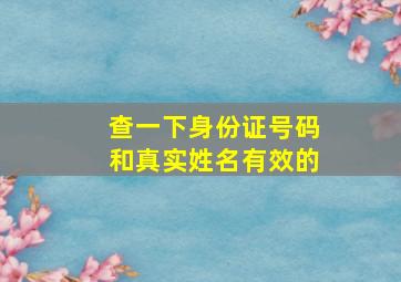 查一下身份证号码和真实姓名有效的