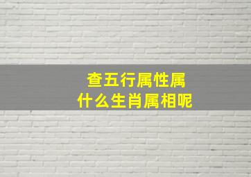 查五行属性属什么生肖属相呢