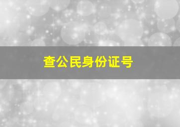 查公民身份证号