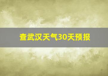 查武汉天气30天预报