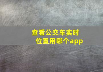 查看公交车实时位置用哪个app