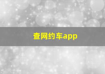 查网约车app