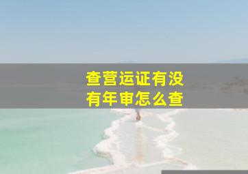 查营运证有没有年审怎么查