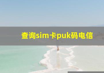 查询sim卡puk码电信