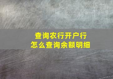 查询农行开户行怎么查询余额明细