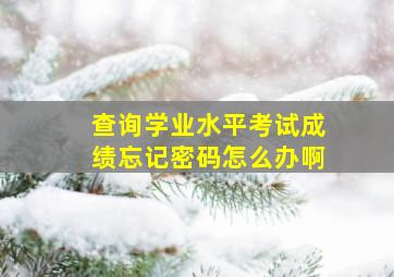 查询学业水平考试成绩忘记密码怎么办啊