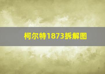 柯尔特1873拆解图