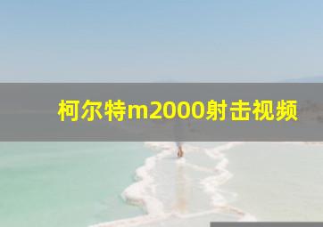 柯尔特m2000射击视频