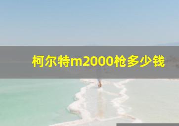 柯尔特m2000枪多少钱