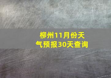 柳州11月份天气预报30天查询