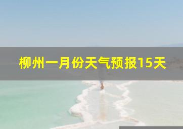 柳州一月份天气预报15天