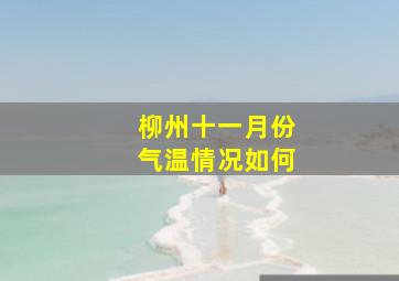 柳州十一月份气温情况如何