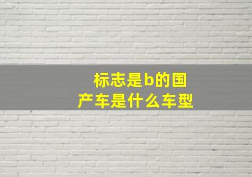 标志是b的国产车是什么车型