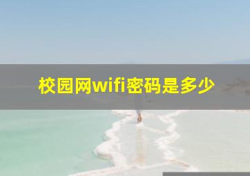 校园网wifi密码是多少