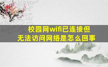 校园网wifi已连接但无法访问网络是怎么回事