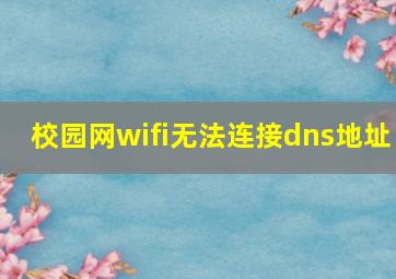 校园网wifi无法连接dns地址