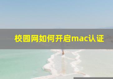 校园网如何开启mac认证