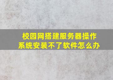 校园网搭建服务器操作系统安装不了软件怎么办