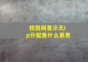 校园网显示无ip分配是什么意思